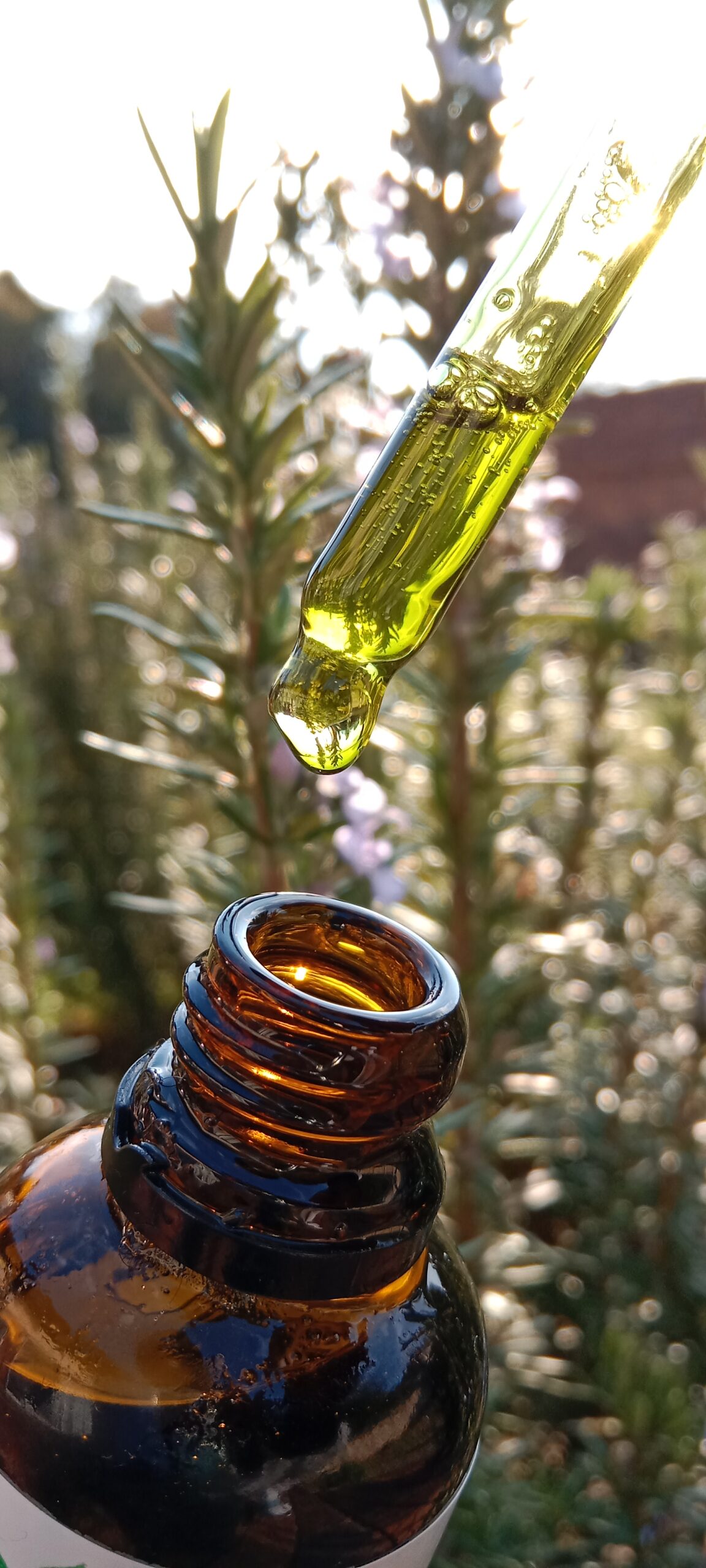 Rapid Hair Growth Oil